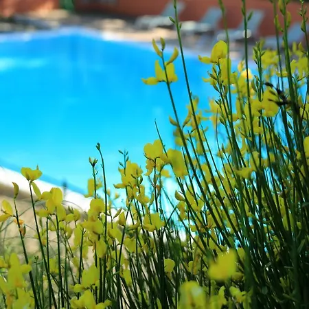 Holiday park La Colline Des Ocres Village De 3 Etoiles Apt