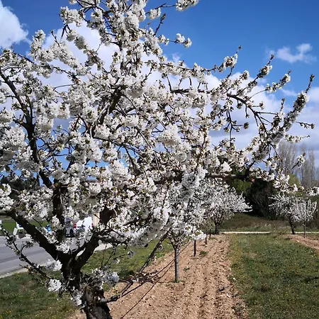 La Colline Des Ocres Village De 3 Etoiles Holiday park 3*